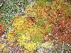 2003_0720_123122AA.jpg